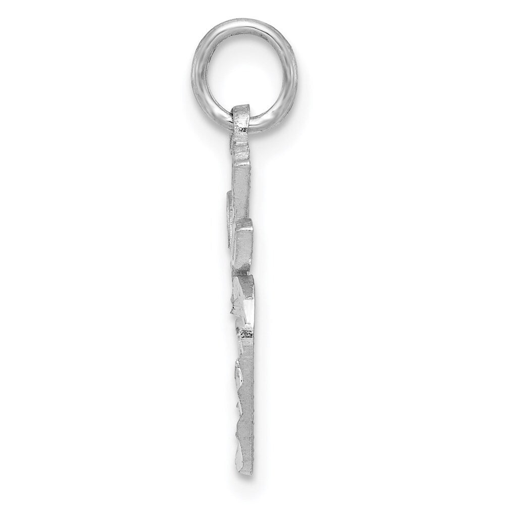 14k White Gold Diamond-cut Apple Charm Pendant for Women