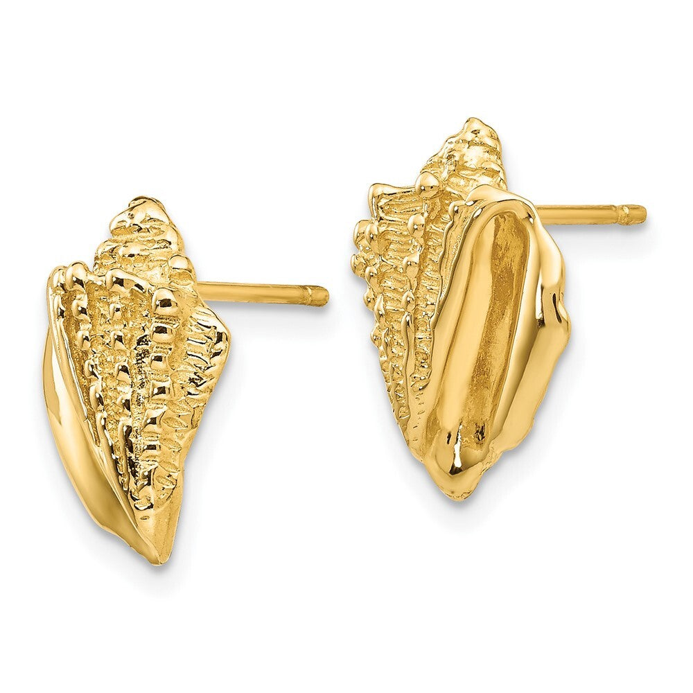 14k Yellow Gold Conch Shell Stud Earrings