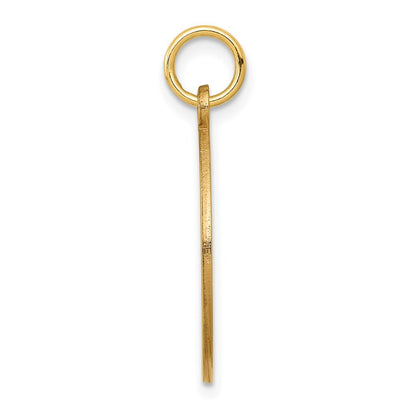 14k Yellow Gold Red Enamel Medical Jewelry Pendant for Women