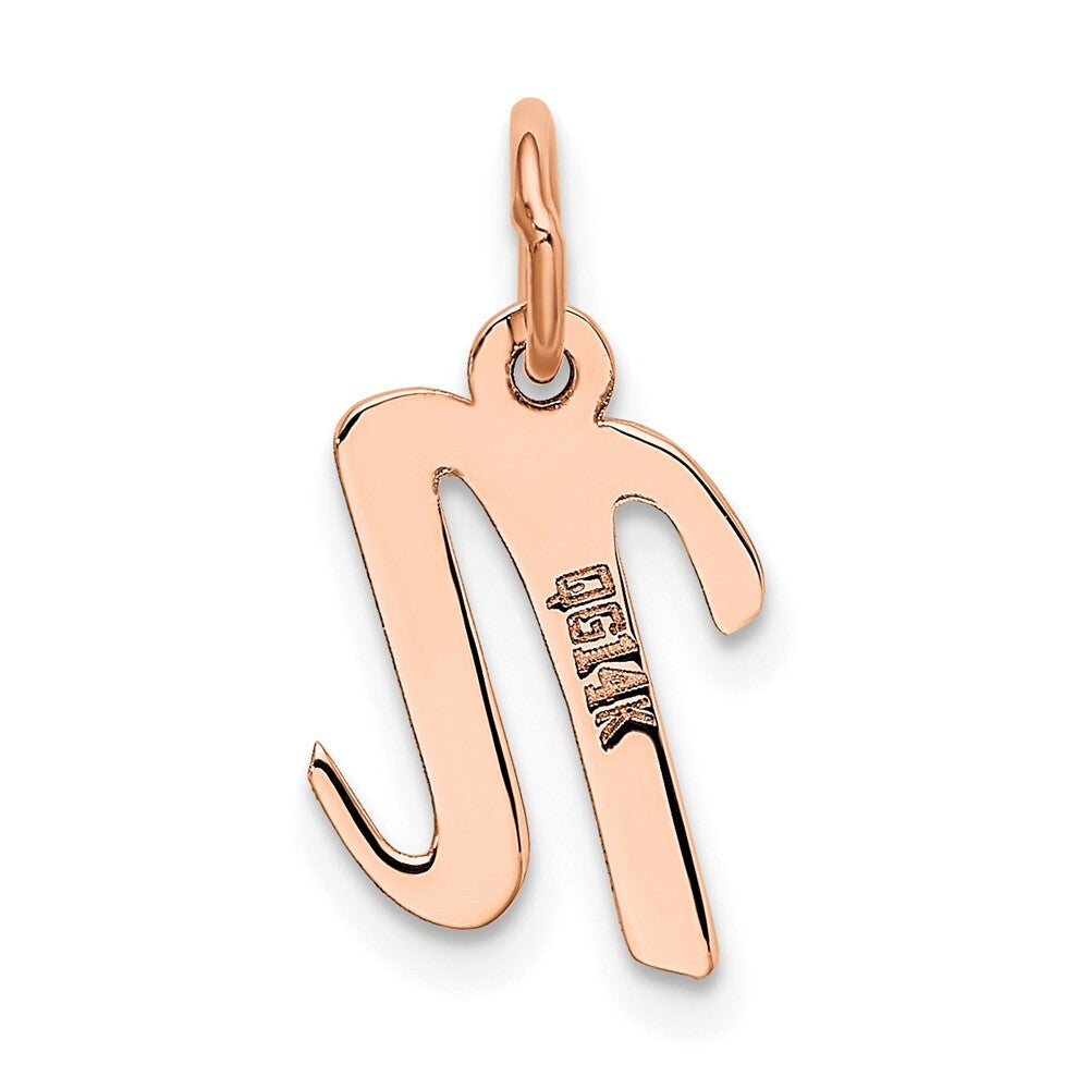 14k Rose Gold Small Script Letter N Initial Charm Pendant for Women
