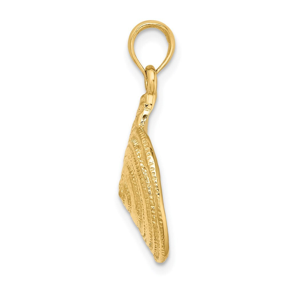 14k Yellow Gold Textured Troca Shell Charm Pendant for Women