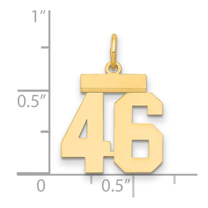 14k Yellow Gold Small Polished Number 46 Charm Pendant for Women