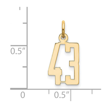14k Yellow Gold Small Elongated Number 43 Charm Pendant for Women