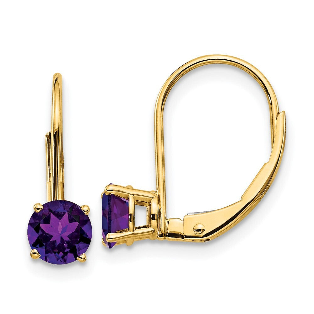 14k Yellow Gold 5mm Amethyst Leverback Earrings Gift for Women