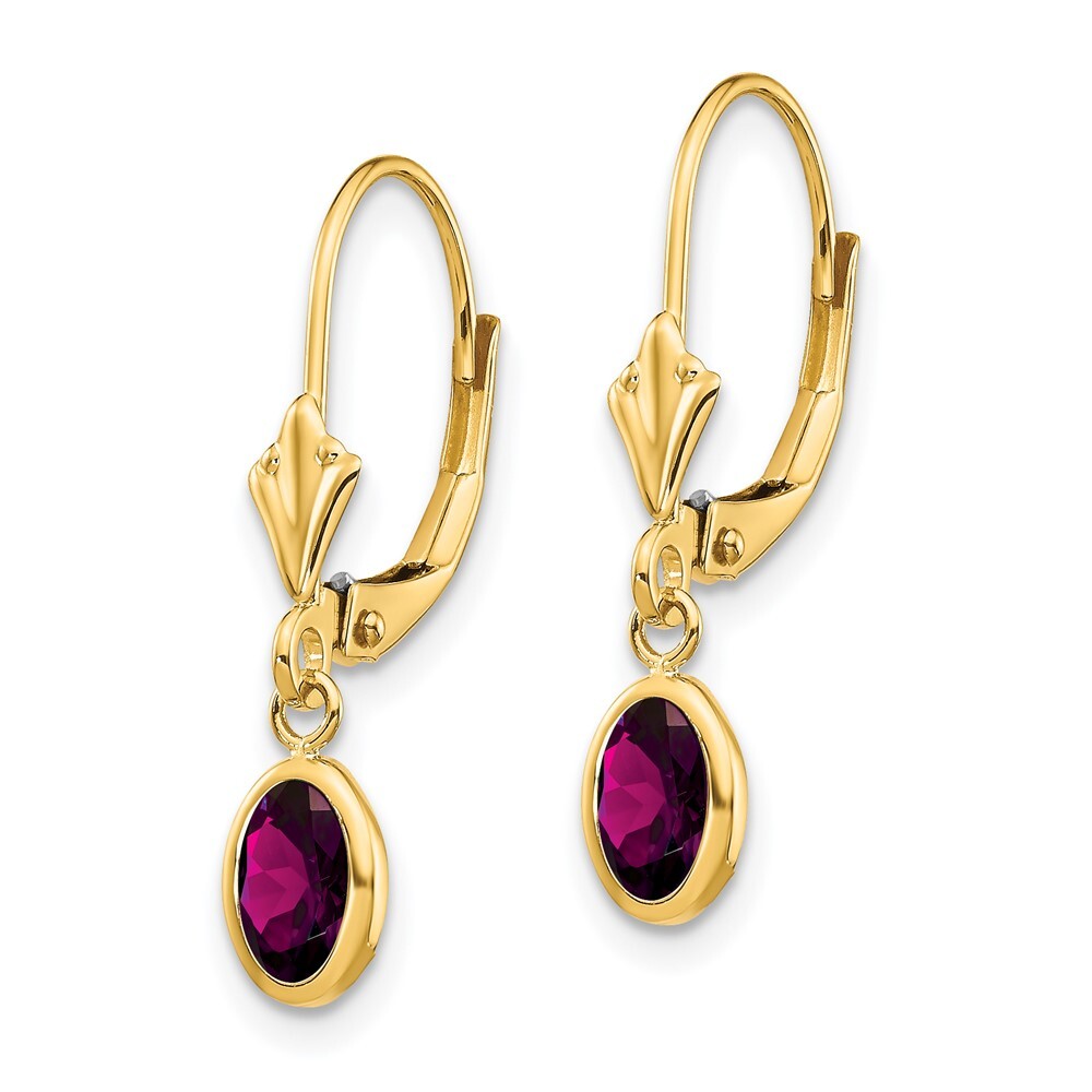 14k Yellow Gold 6x4 Oval Bezel June/Rhodolite Dangle Earrings Leverback