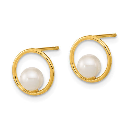 14k Yellow Gold Open Circle 5mm Freshwater Cultured Pearl Earrings