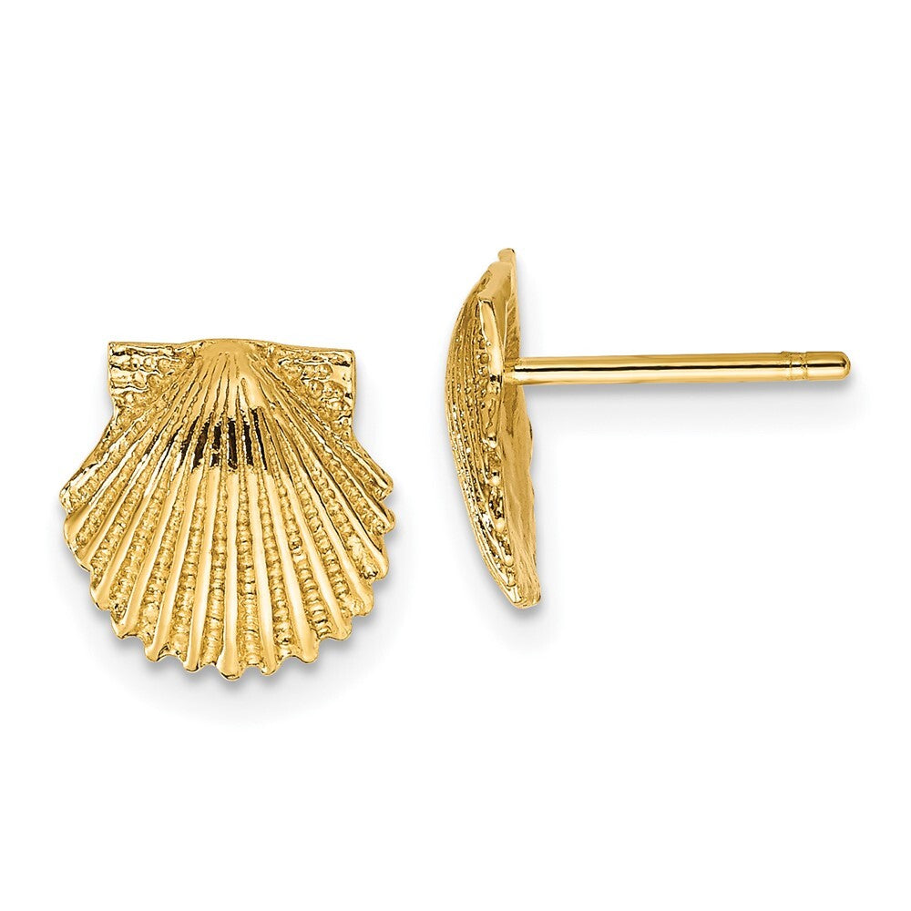 14k Yellow Gold Scallop Shell Stud Earrings Gift for Women