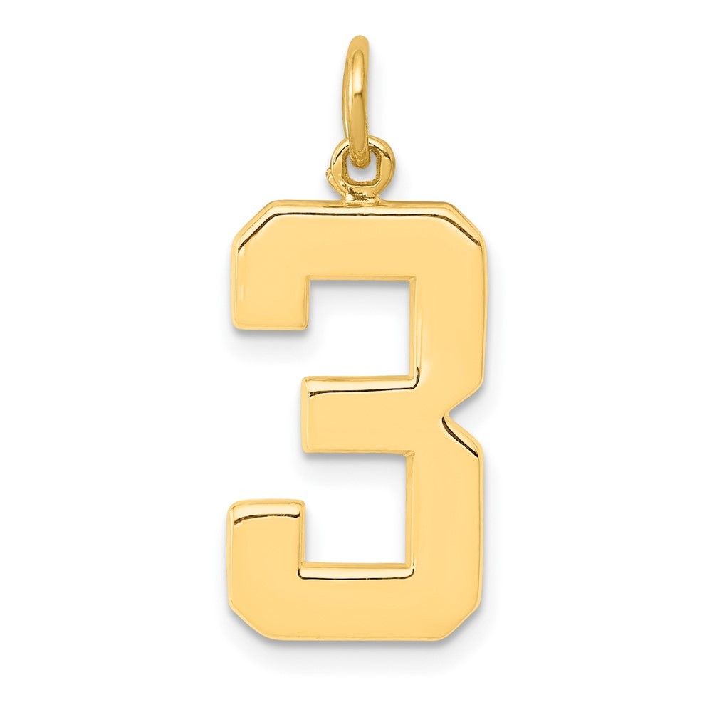 14k Yellow Gold Large Polished Number 3 Charm Pendant
