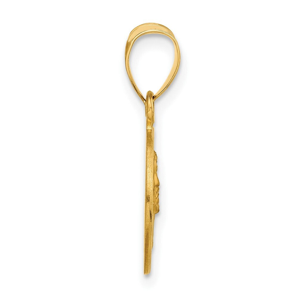 14k Yellow Gold Polished and Satin Solid Face of Jesus Medal Pendant for Women