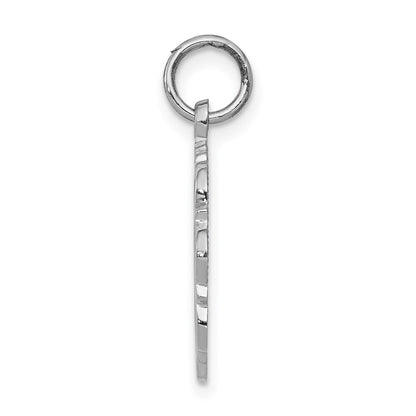 14k White Gold RN Registered Nurse Disc Charm Pendant for Women
