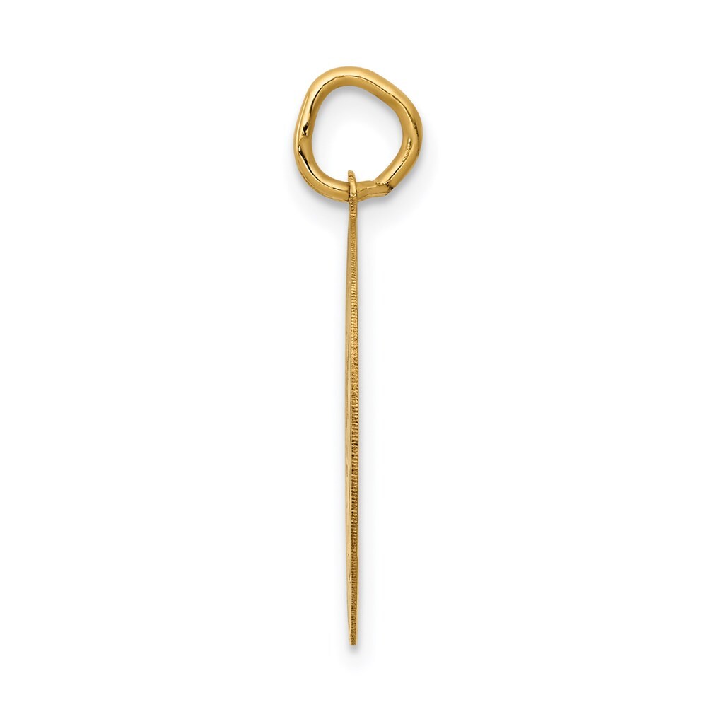14k Yellow Gold GRADUATION DAY Disc Charm Pendant for Women