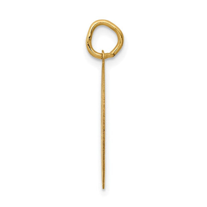 14k Yellow Gold GRADUATION DAY Disc Charm Pendant for Women