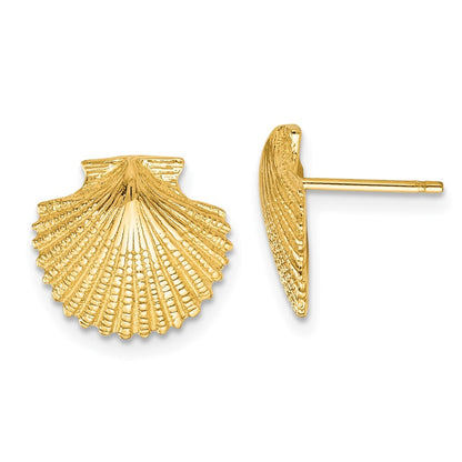 14k Yellow Gold Scallop Shell Stud Earrings