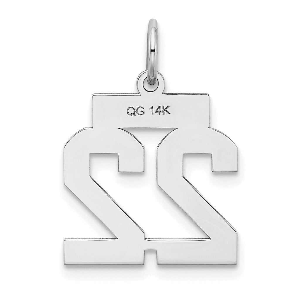14k White Gold Small Satin Number 22 Charm Pendant for Women