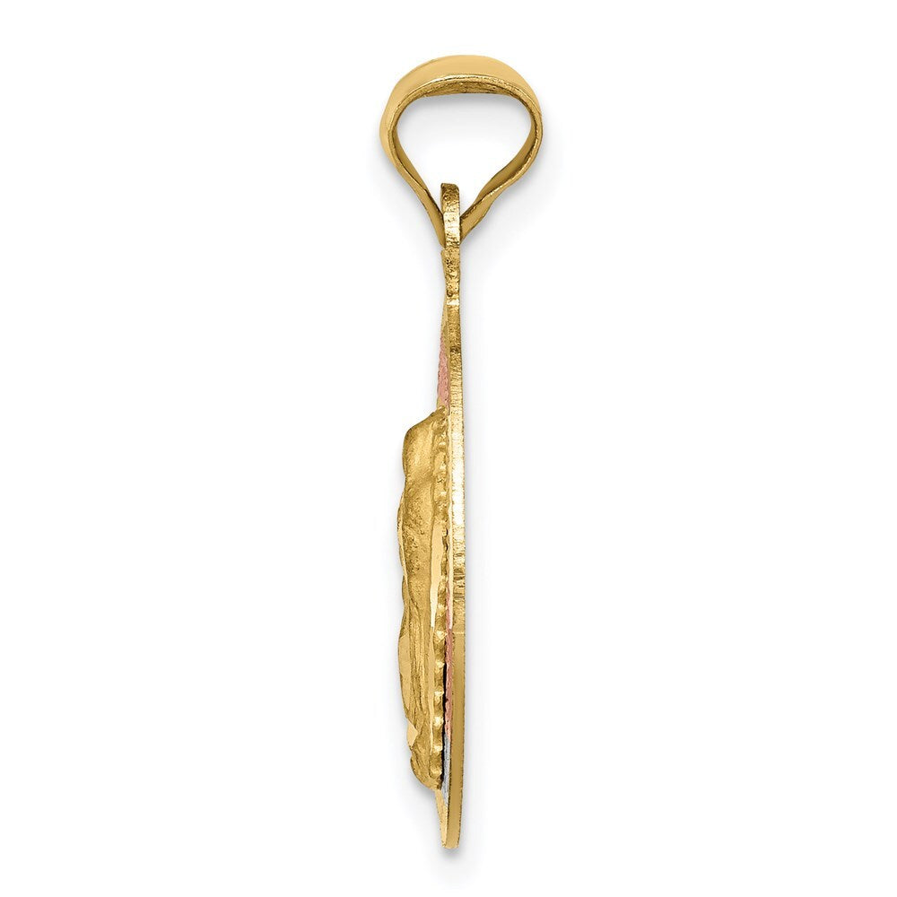 14k Yellow Gold Rhodium Polished Diamond-Cut Lady Of Guadalupe Circle Pendant