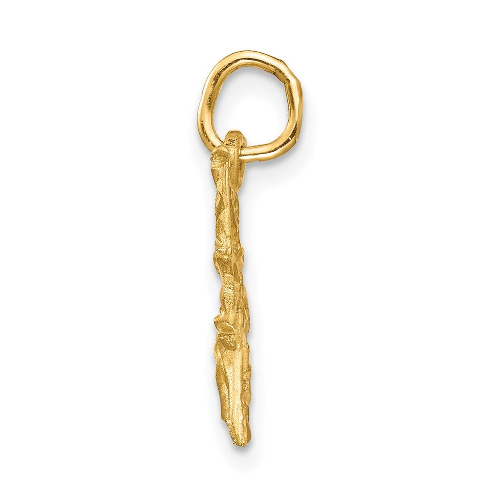 14k Yellow Gold Satin Diamond-cut Sagittarius Zodiac Charm