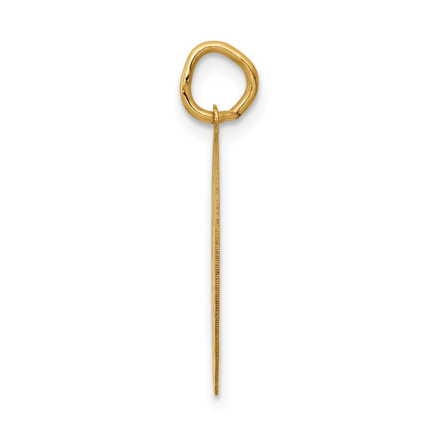 14k GRADUATION DAY Engravable Disc Charm