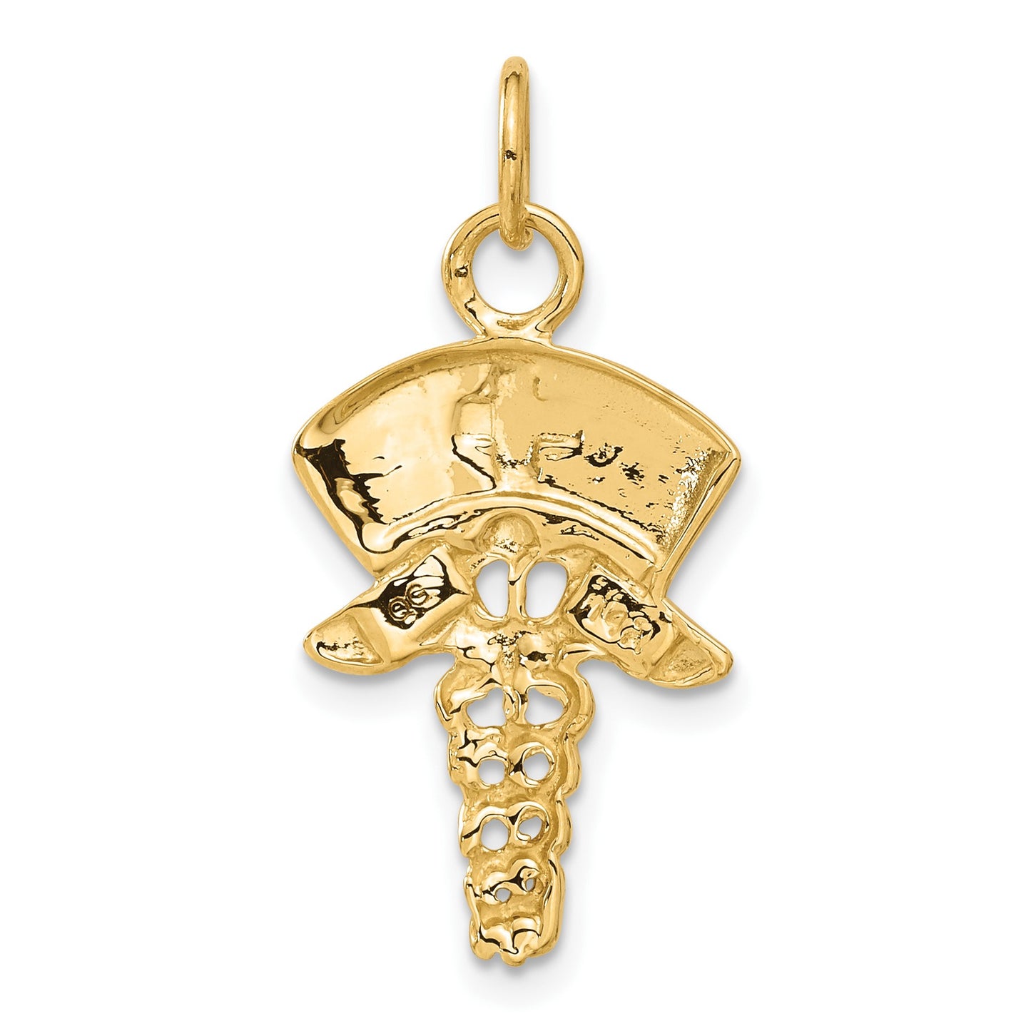 14k Nurse Symbol Charm