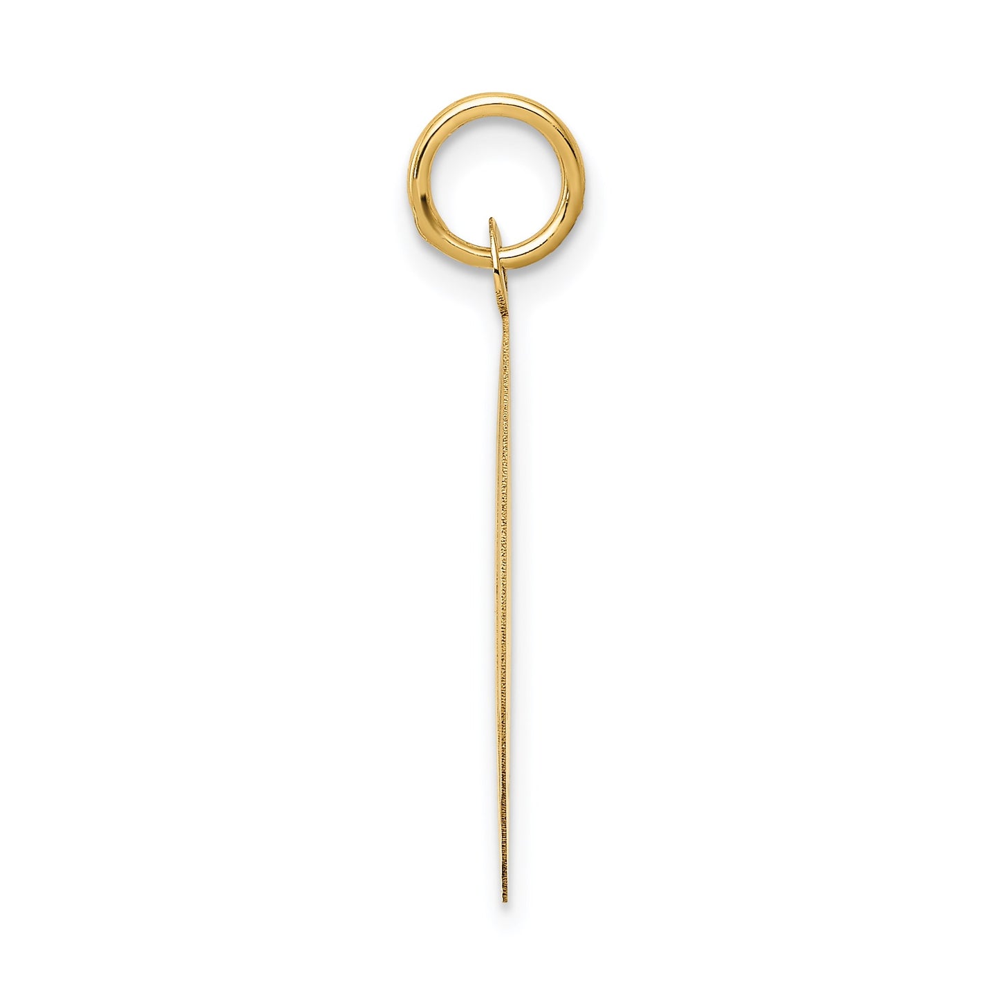 14K HAPPY ANNIVERSARY 20mm Engravable Disc Charm