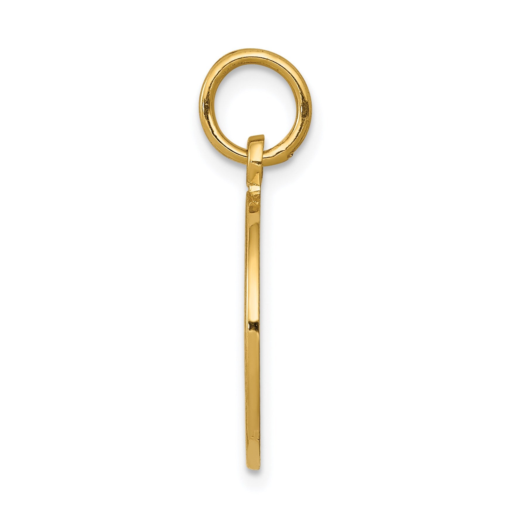 14K Satin and Polished COMMUNION Round Disc Charm