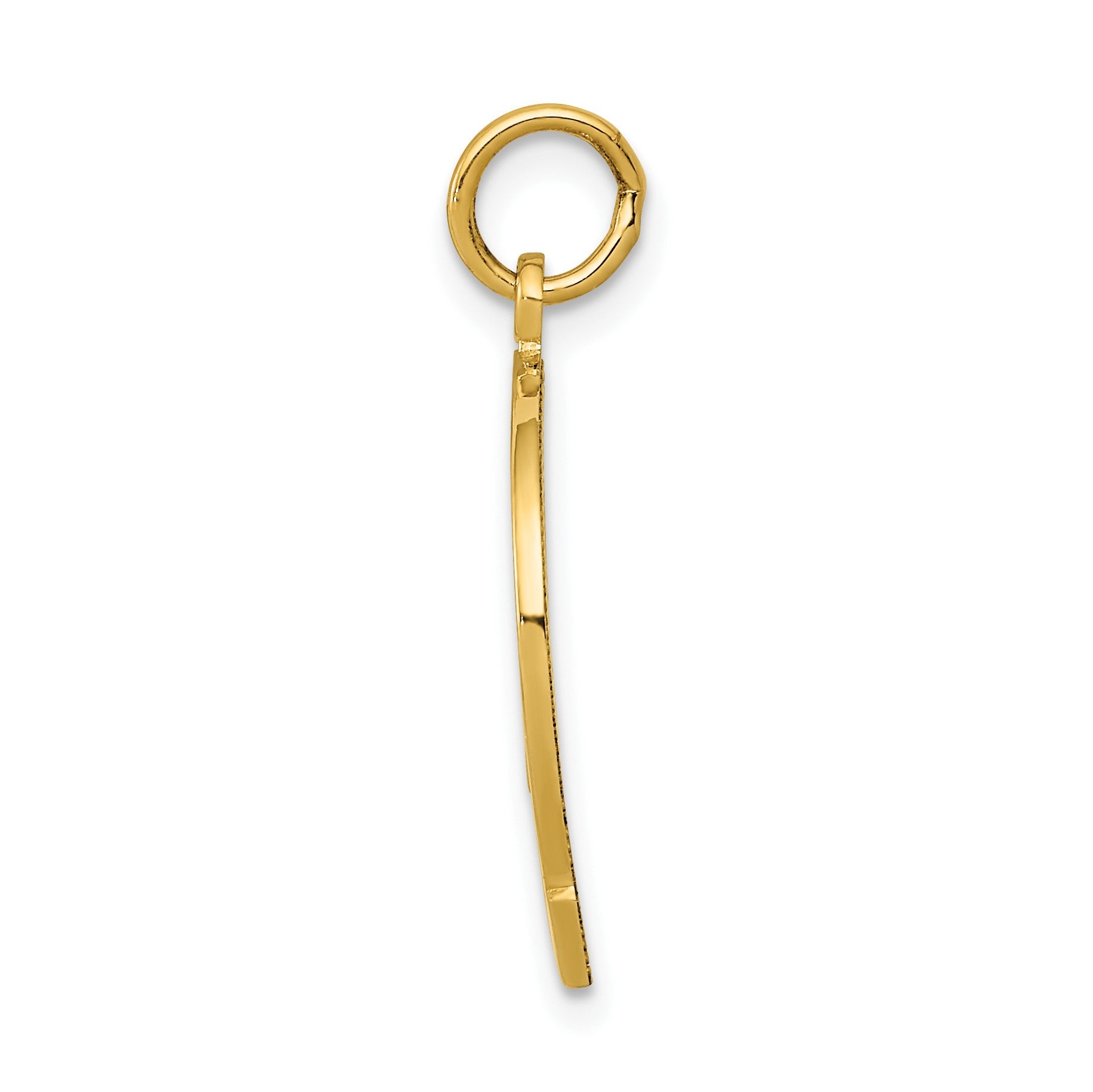 14k GOOD LUCK Horseshoe Charm