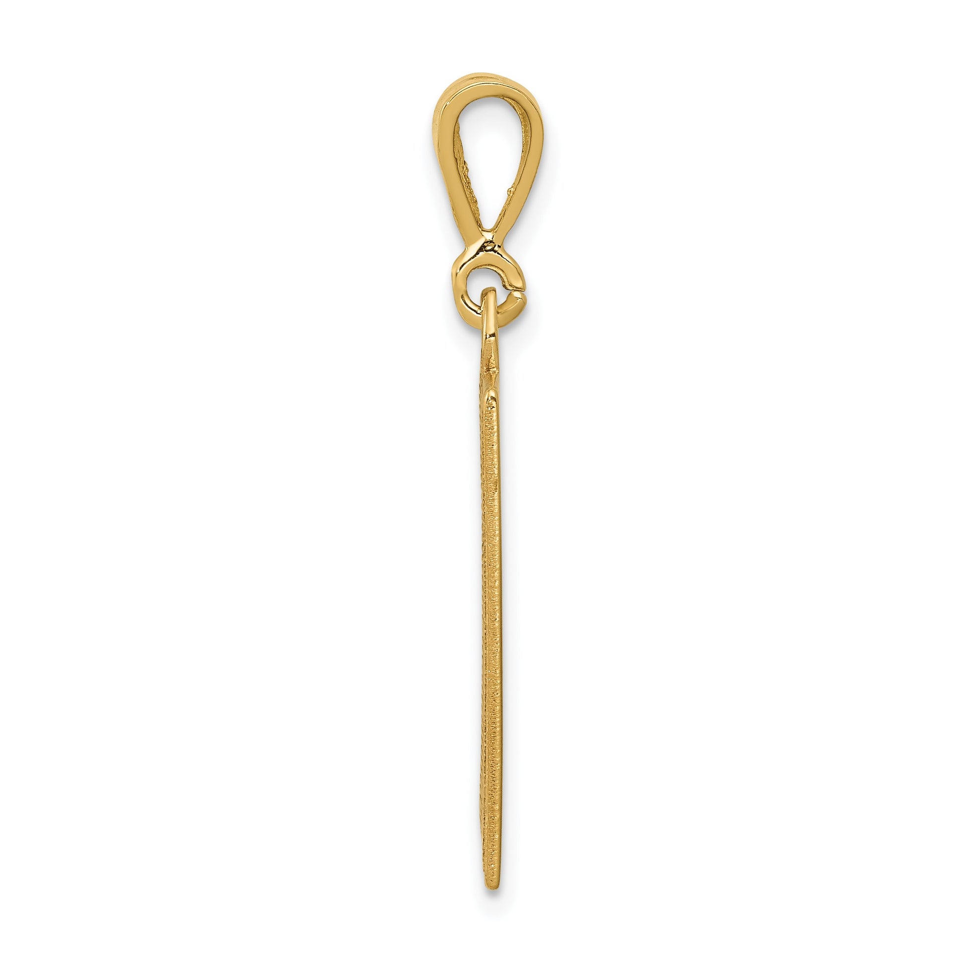 14k Textured Back Caduceus Pendant