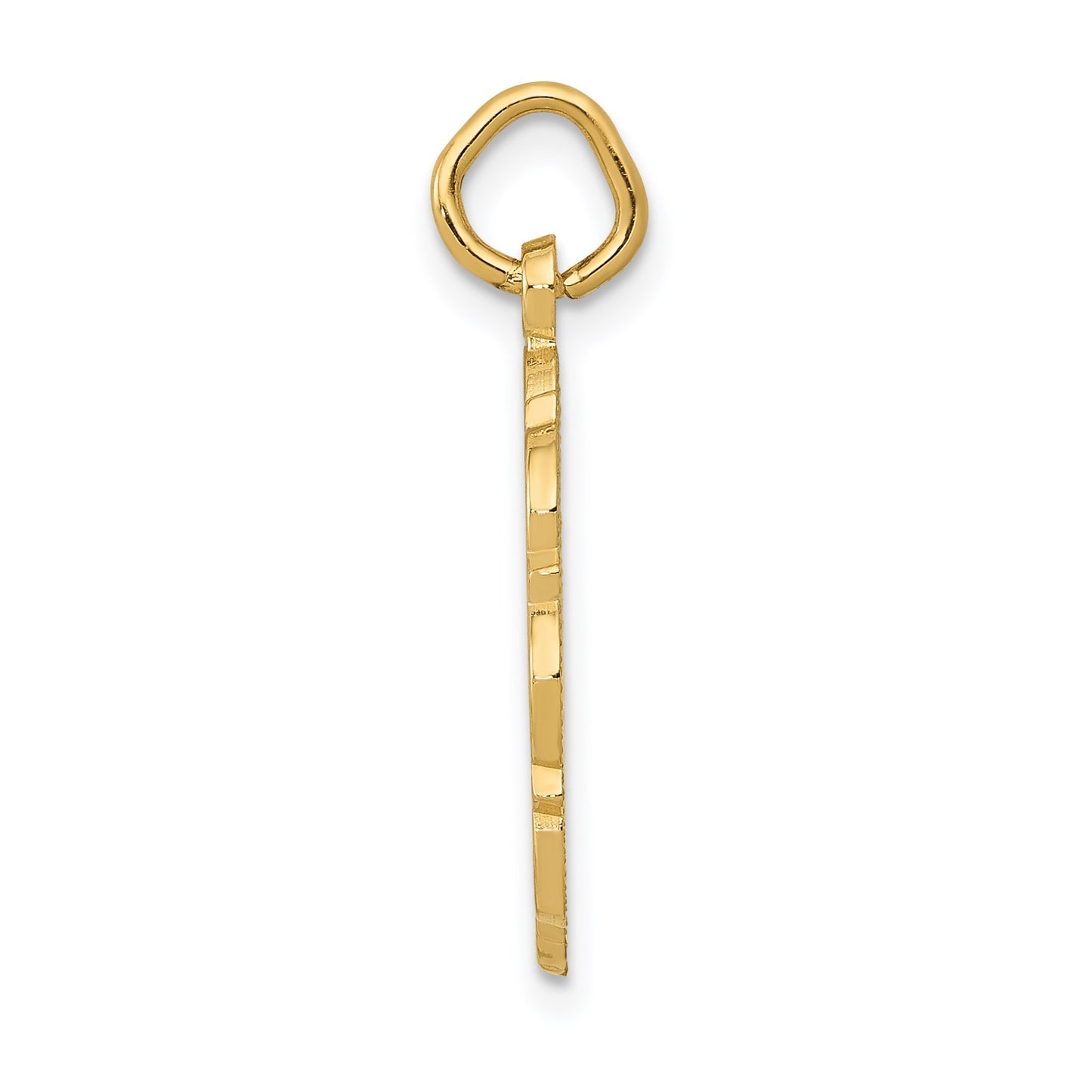 14k RN Registered Nurse Textured Back Disc Charm