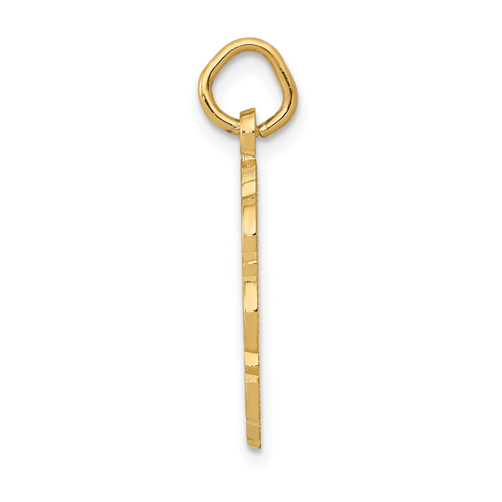 14k RN Registered Nurse Textured Back Disc Charm