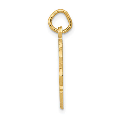 14k RN Registered Nurse Textured Back Disc Charm