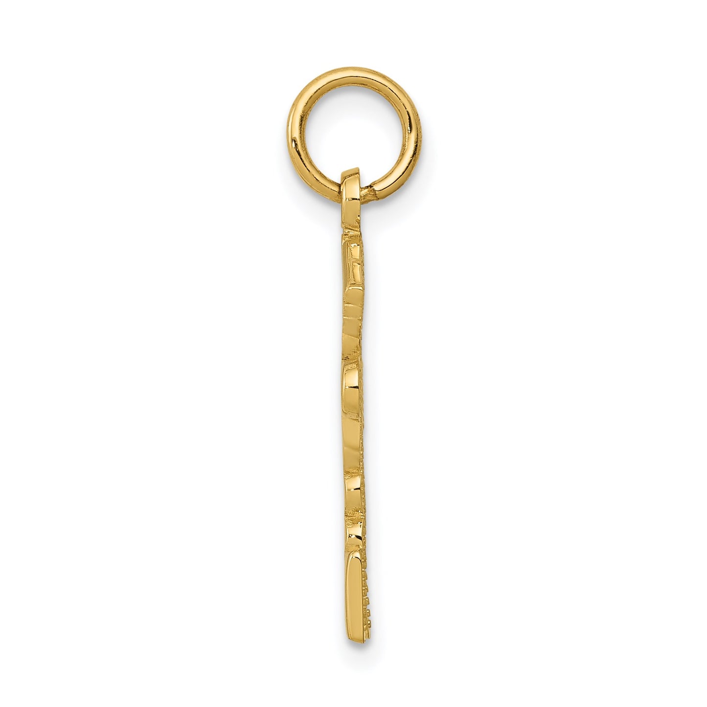 14k RNP Registered Nurse Practitioner Charm