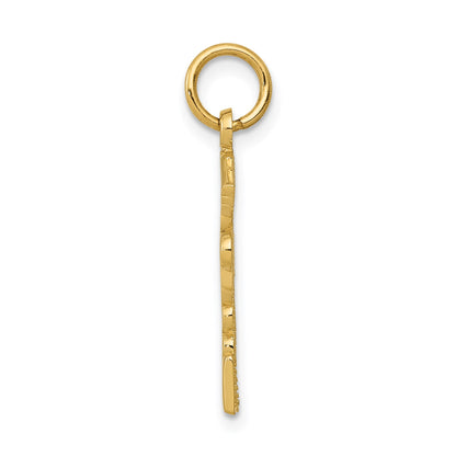 14k RNP Registered Nurse Practitioner Charm