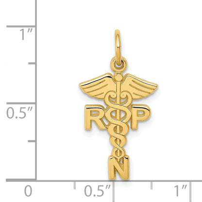 14k RNP Registered Nurse Practitioner Charm
