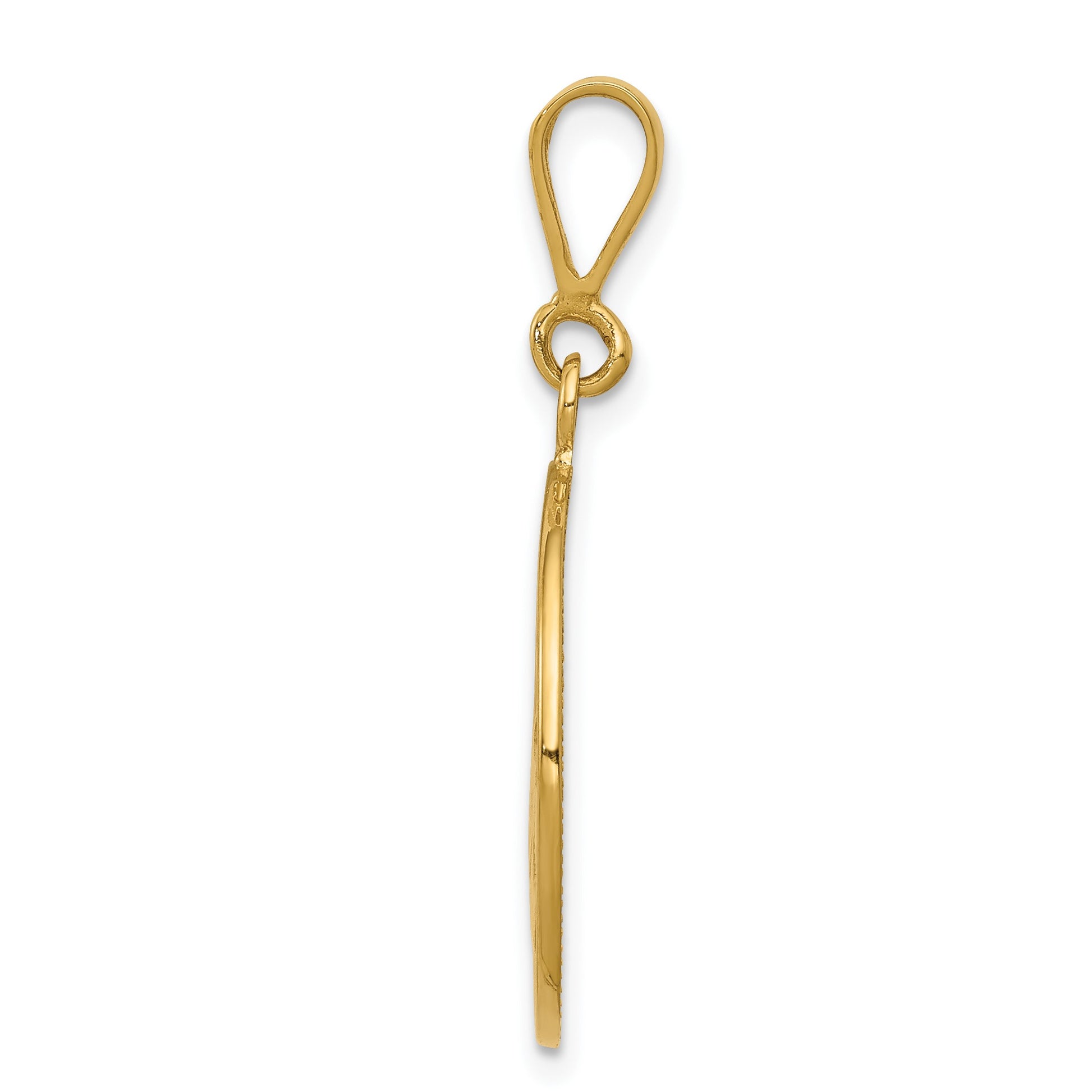 14K Polished and Satin Angel Round Pendant