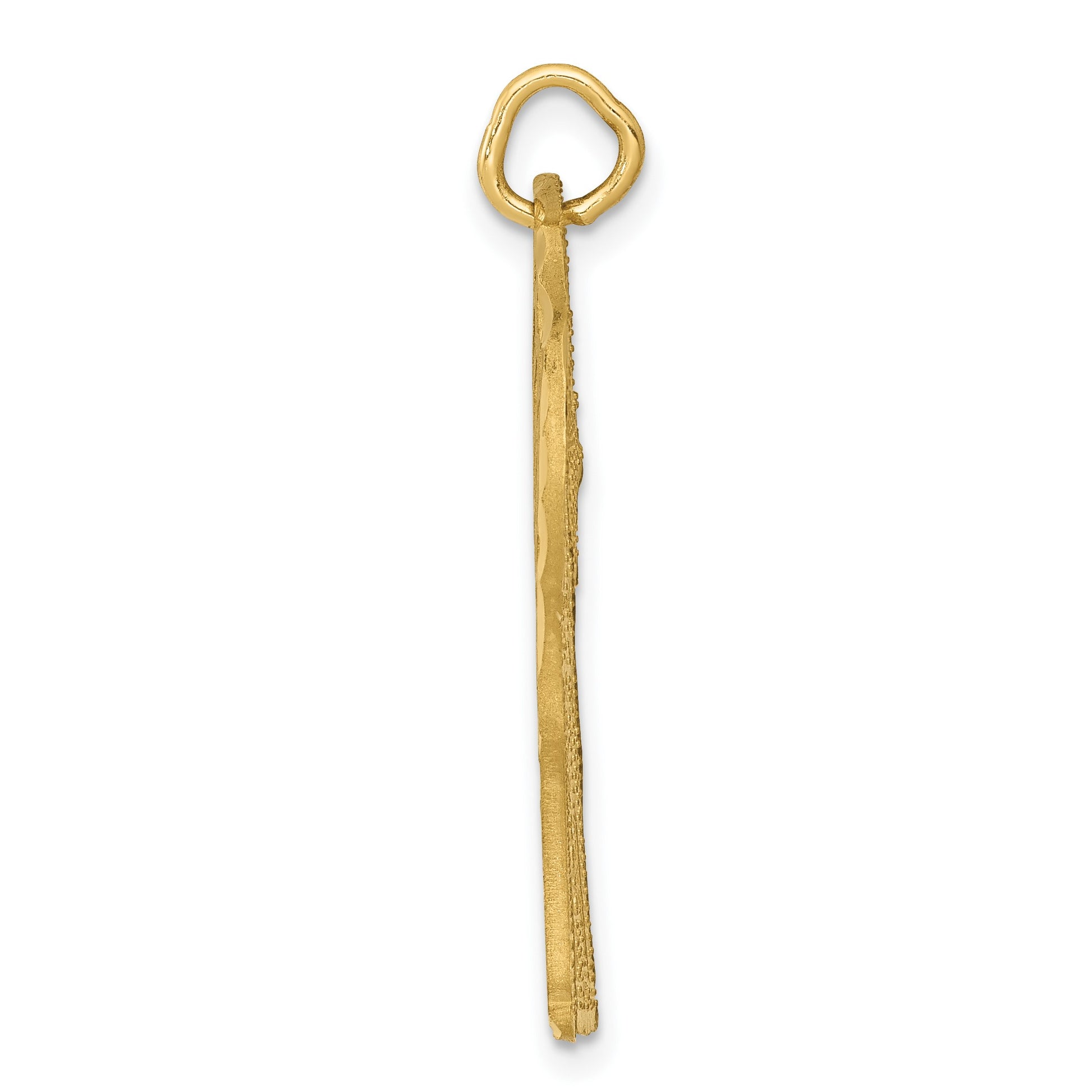 14k Satin Diamond-cut Giraffe Charm