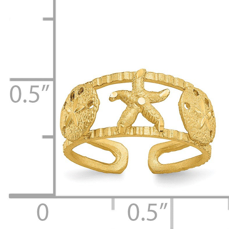 14k Starfish and Shells Toe Ring