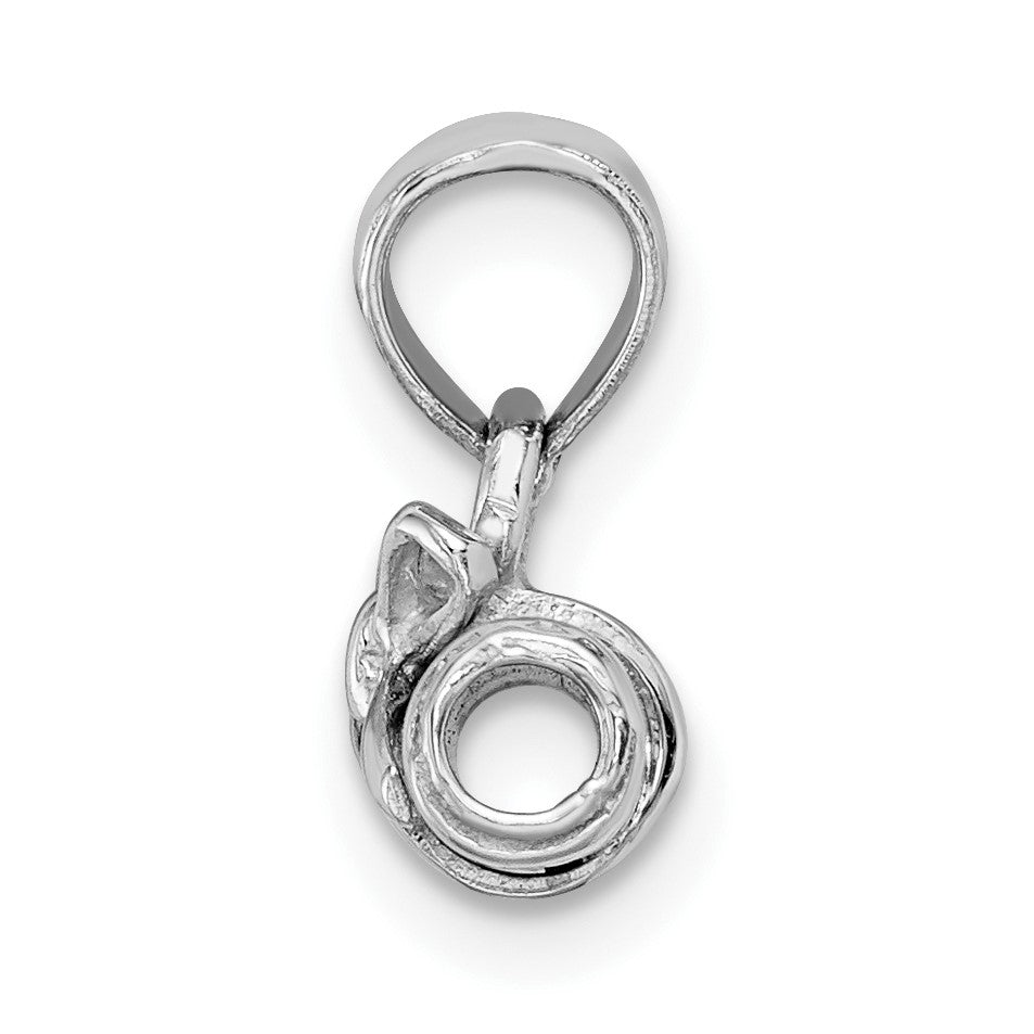 14K White Gold 3-D Hollow Polished DIPLOMA Pendant