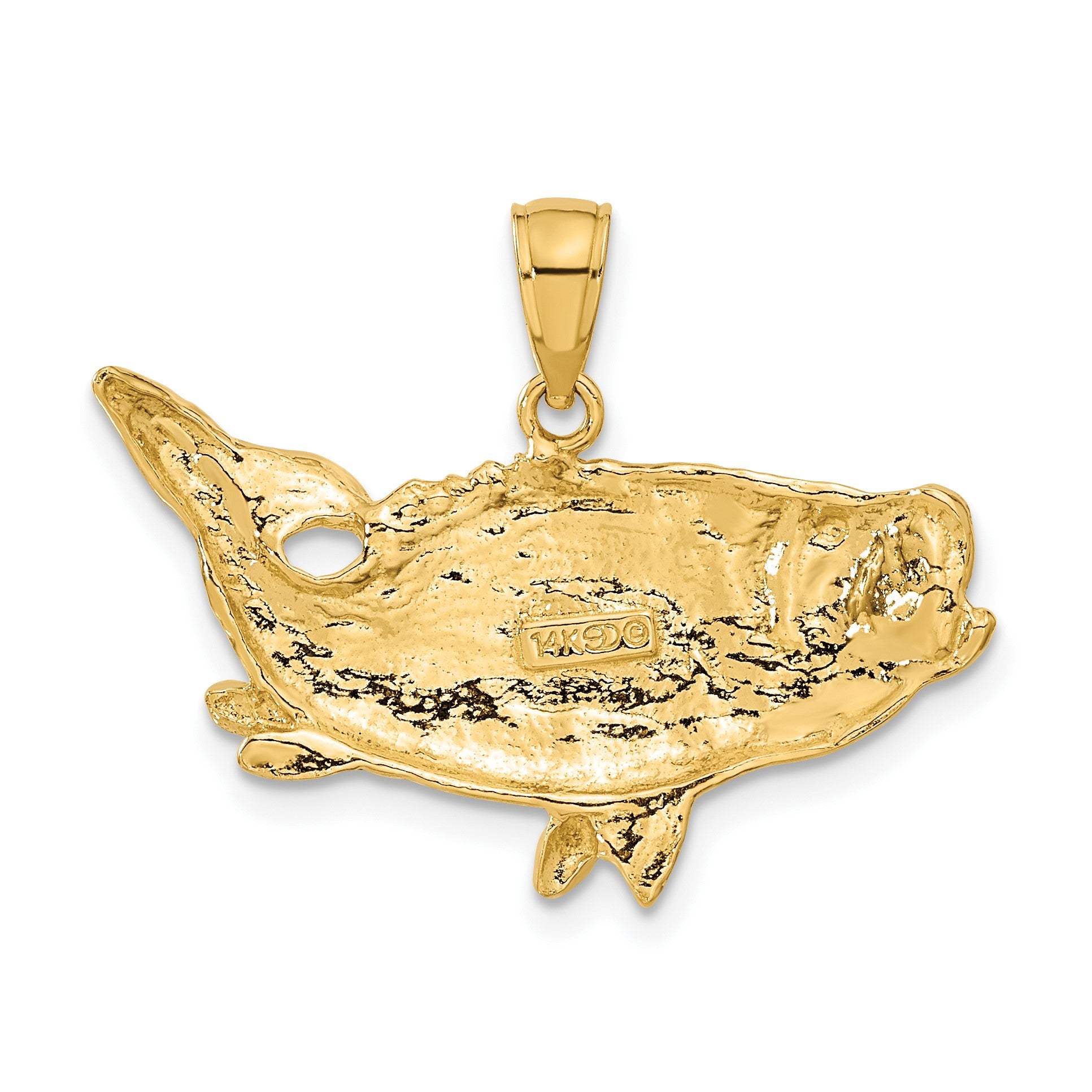 14k Polished Open-Backed Bass Fish Pendant