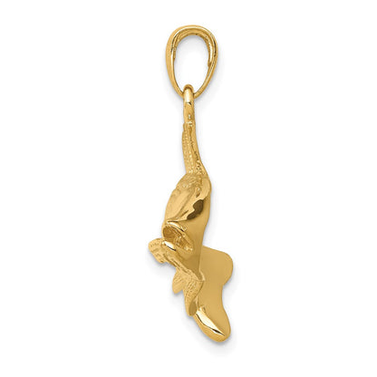 14k Polished Open-Backed Redfish Pendant