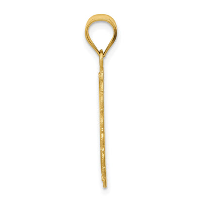 14k Solid Satin Polished Gemini Zodiac Oval Pendant