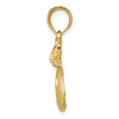 14k Satin Diamond-cut Cat Charm
