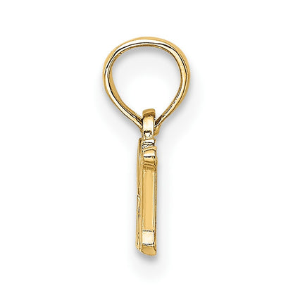 14k R.N. Charm