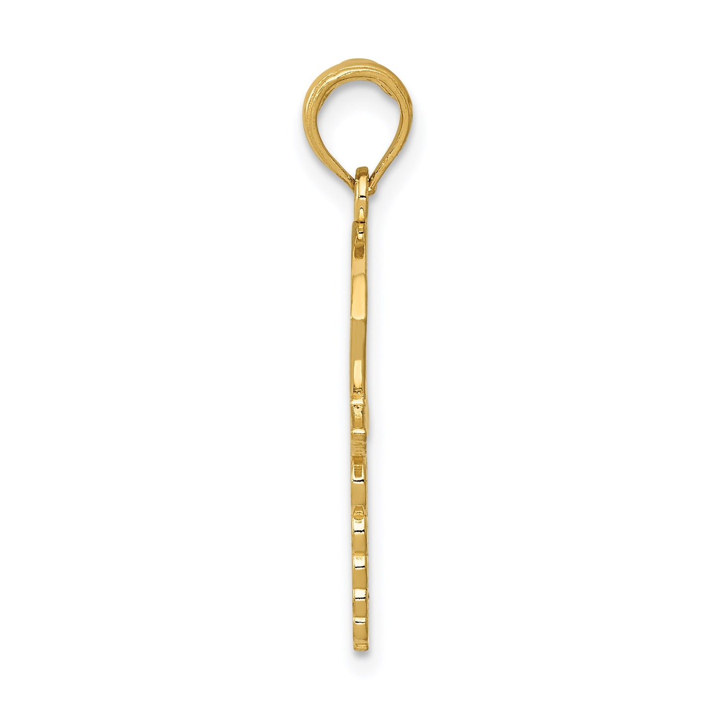 14k Caduceus with Nurses Cap Pendant