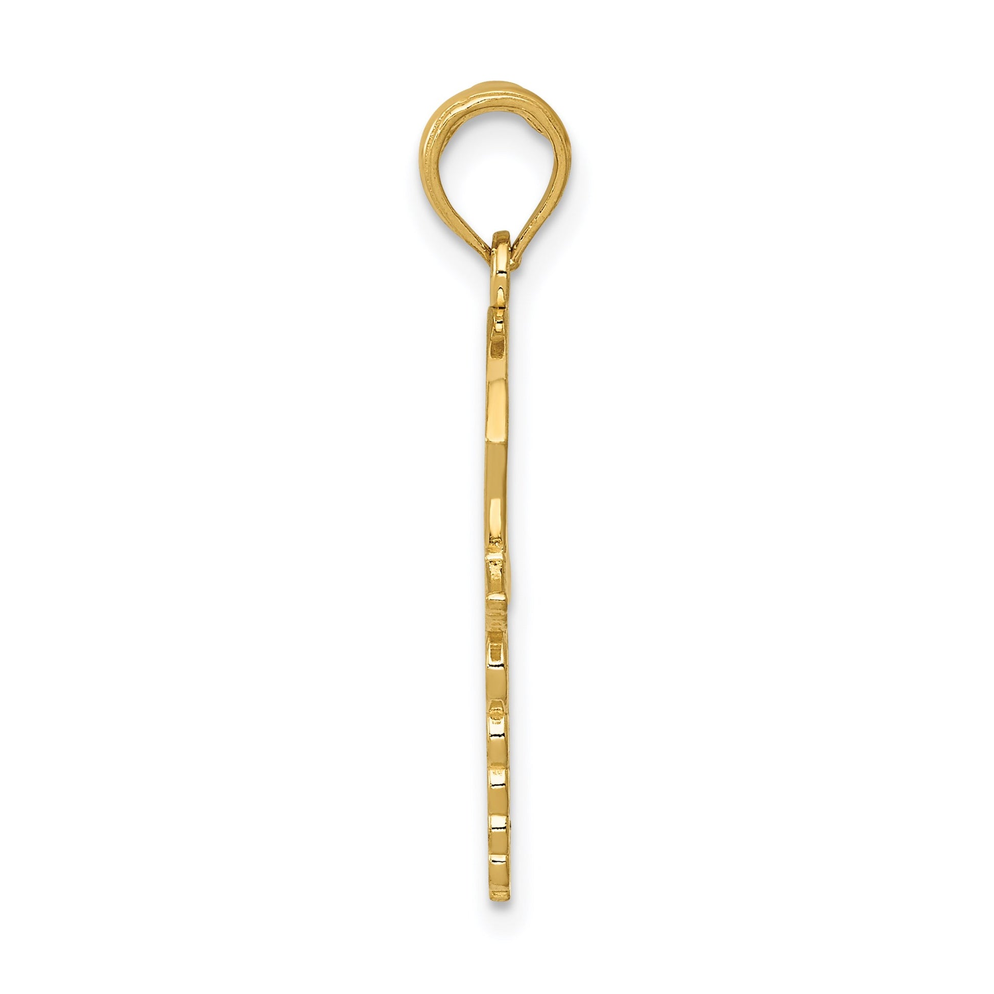 14k Caduceus with Nurses Cap Pendant