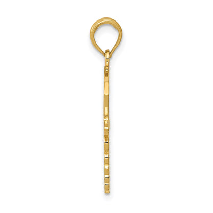 14k Caduceus with Nurses Cap Pendant
