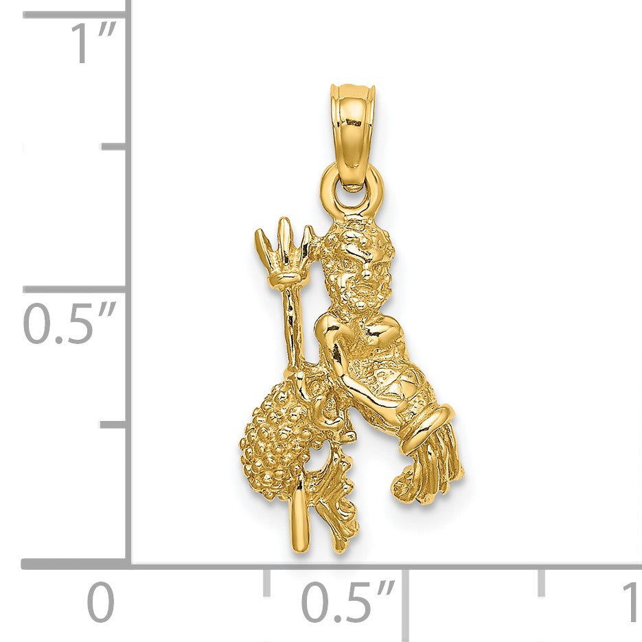 14k 3-D Aquarius Zodiac Charm