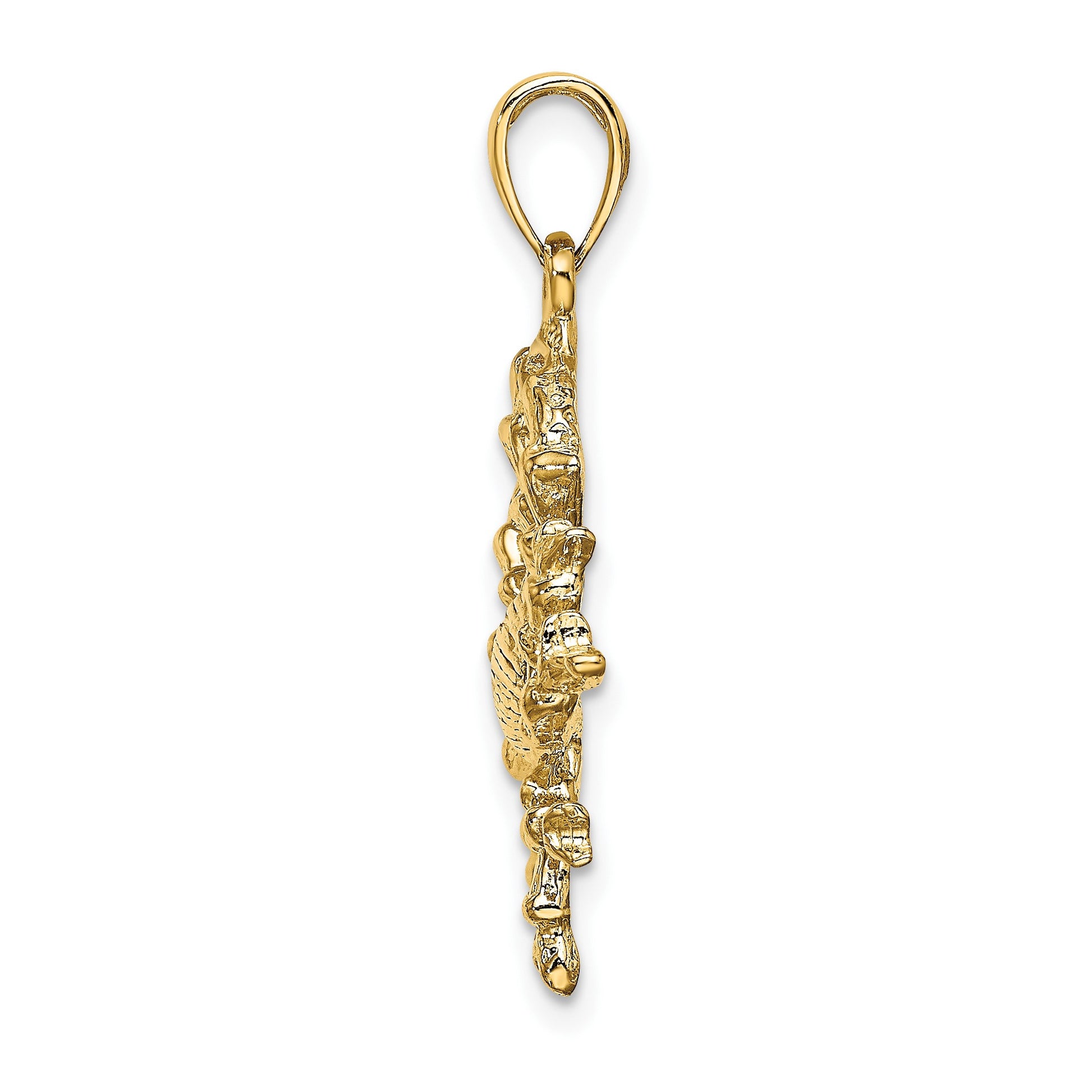 14k Large Cancer Zodiac Charm