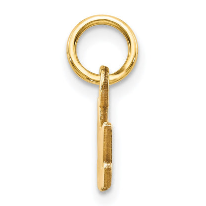 14k Satin NANA Charm