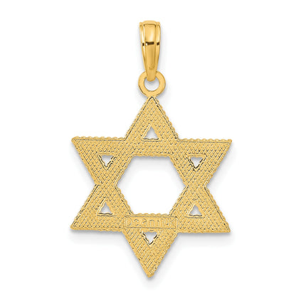 14k Textured Star of David Pendant