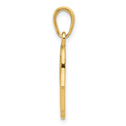 14k Chamseh Hand of God with Star of David Pendant