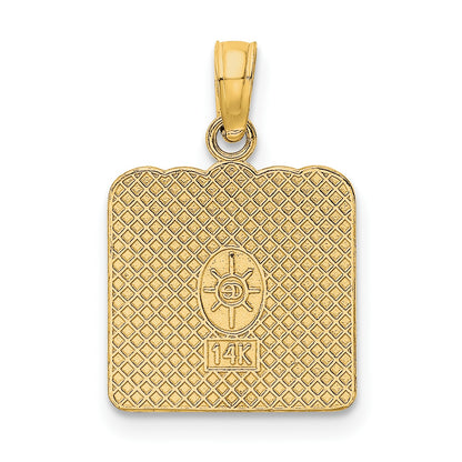 14k BIRTH CERTIFICATE Charm